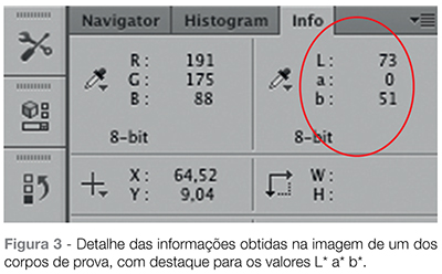 Imagem_Fig03