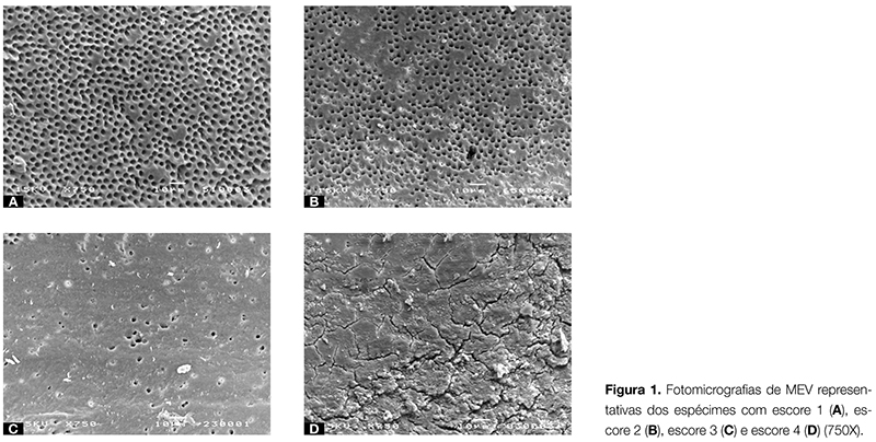 Artigos_ENDO_v03_n01_fig01