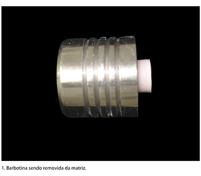 Casos_Estetica_v10_n01_fig01
