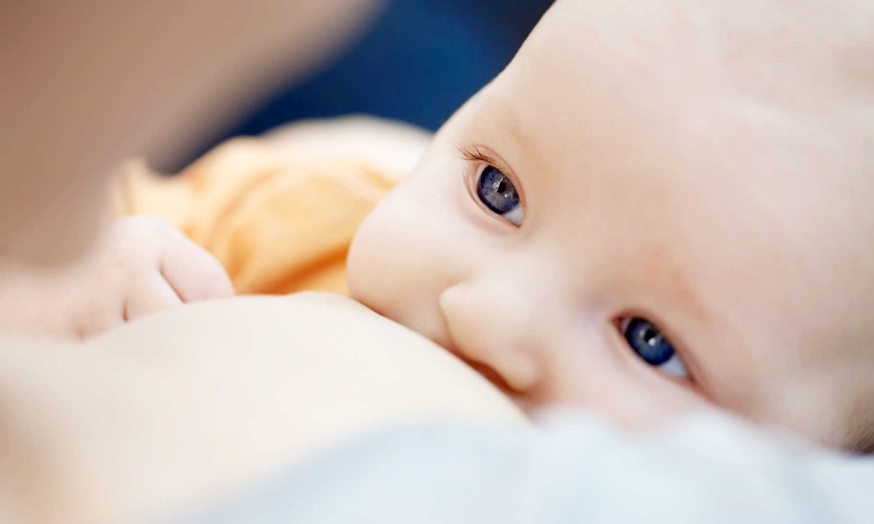 amamentar-e-saude-406271