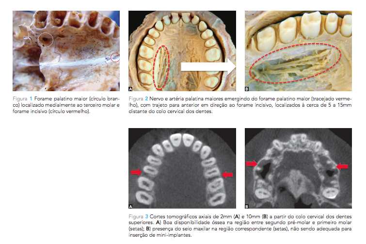 Captura de Tela 2015-08-06 às 09.35.59