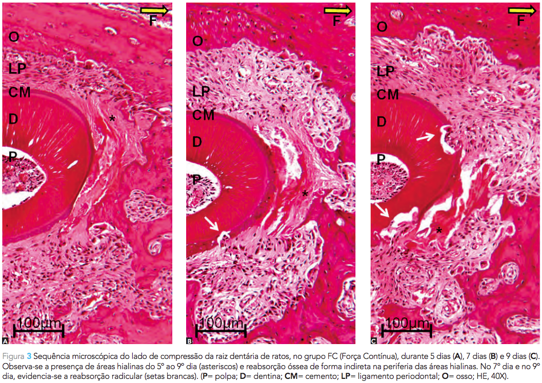 Captura de Tela 2015-09-15 às 12.56.47