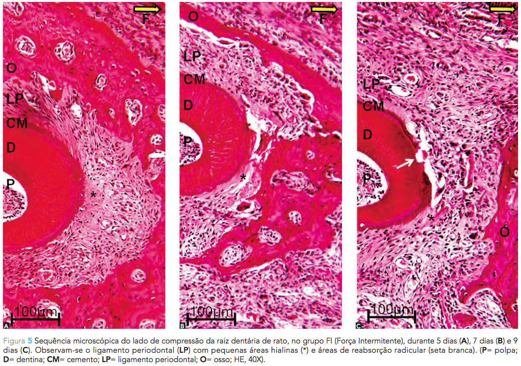 Captura de Tela 2015-09-15 às 12.57.26