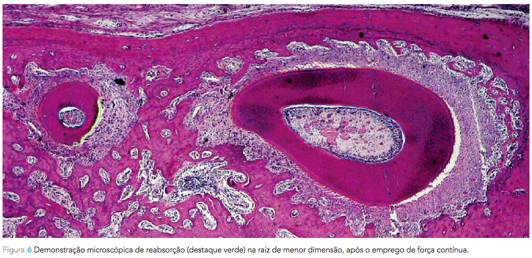 Captura de Tela 2015-09-15 às 12.57.42